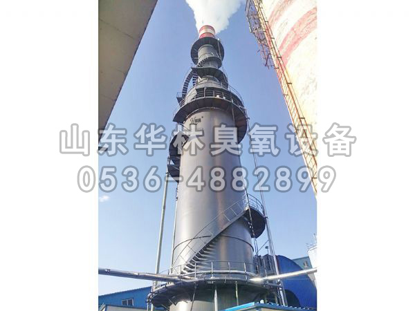 山西熱力有限公司-2臺40KG氧氣源煙氣脫硝大型臭氧發(fā)生器